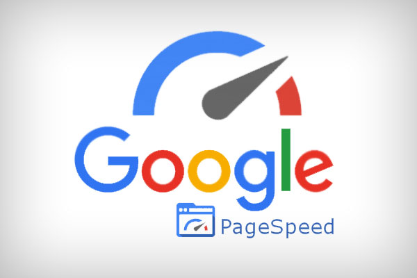 Google PageSpeed Insights — website performance tool taught at DigiSkillz Kochi