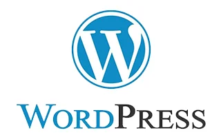 WordPress — website creation tool taught in DigiSkillz digital marketing course Kochi